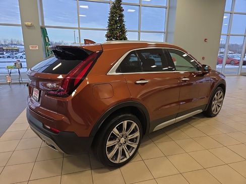 Used 2019 Cadillac XT4 Premium Luxury image 7
