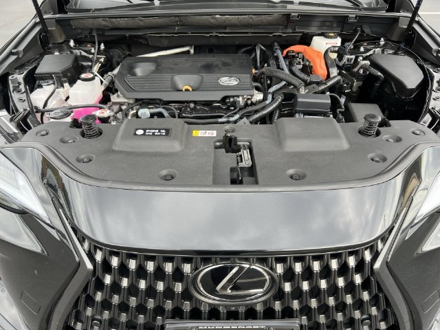 Certified 2025 Lexus NX 350h AWD w/ Cold Area Package image 24