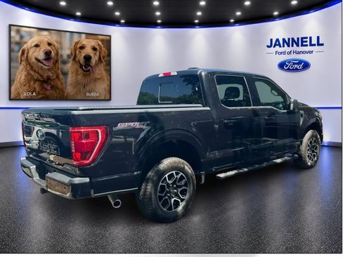 Used 2023 Ford F150 XLT w/ Equipment Group 302A High AWD/4WD image 6