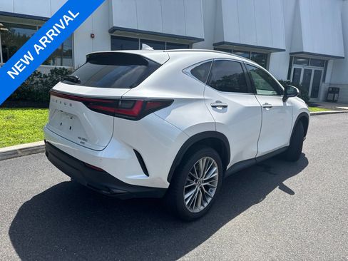 Used 2023 Lexus NX 350 AWD image 2