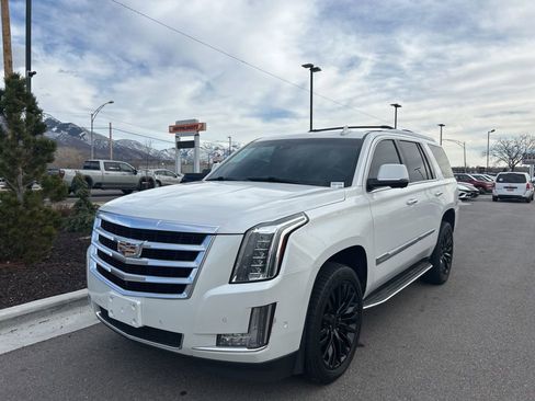 Used 2019 Cadillac Escalade Luxury image 1