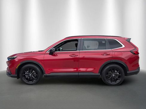 Certified 2025 Honda CR-V Sport image 6