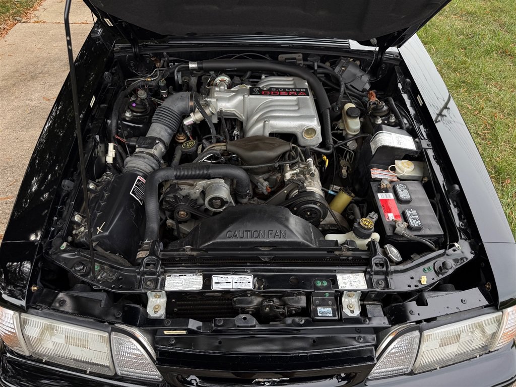Used 1993 Ford Mustang Cobra RWD image 83