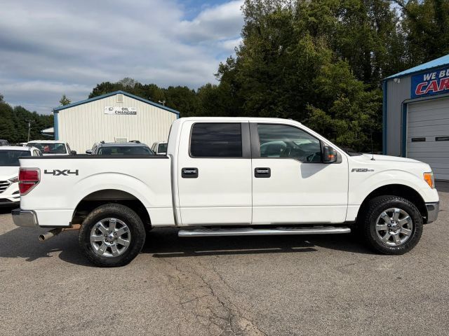 Used 2014 Ford F150 XLT w/ Equipment Group 302A Luxury AWD/4WD image 6