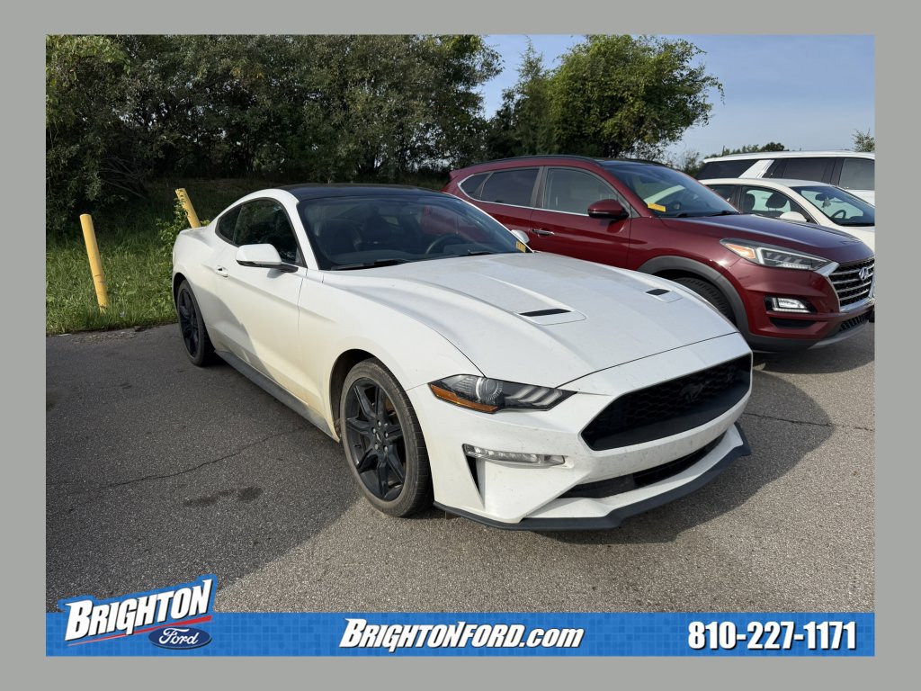 Certified 2020 Ford Mustang Premium w/ Equipment Group 201A RWD image 1