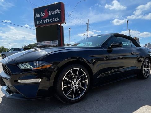 Used 2019 Ford Mustang Premium w/ Equipment Group 201A RWD image 4