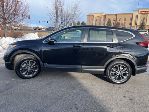 Used 2020 Honda CR-V EX-L image 5