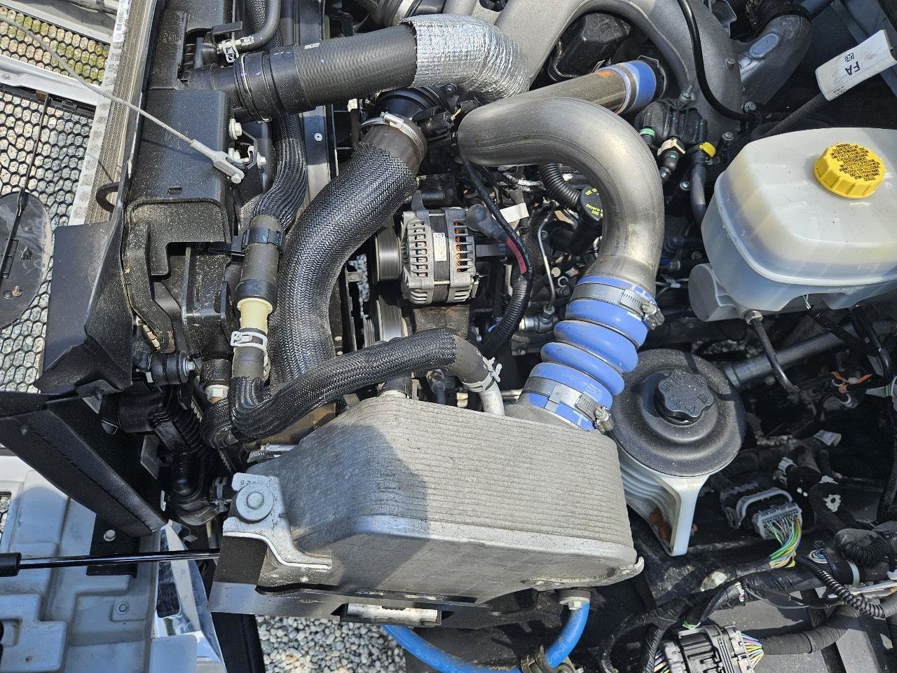 Used 2022 Ford F650 2WD Regular Cab Super Duty image 69