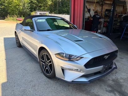 Used 2019 Ford Mustang Premium