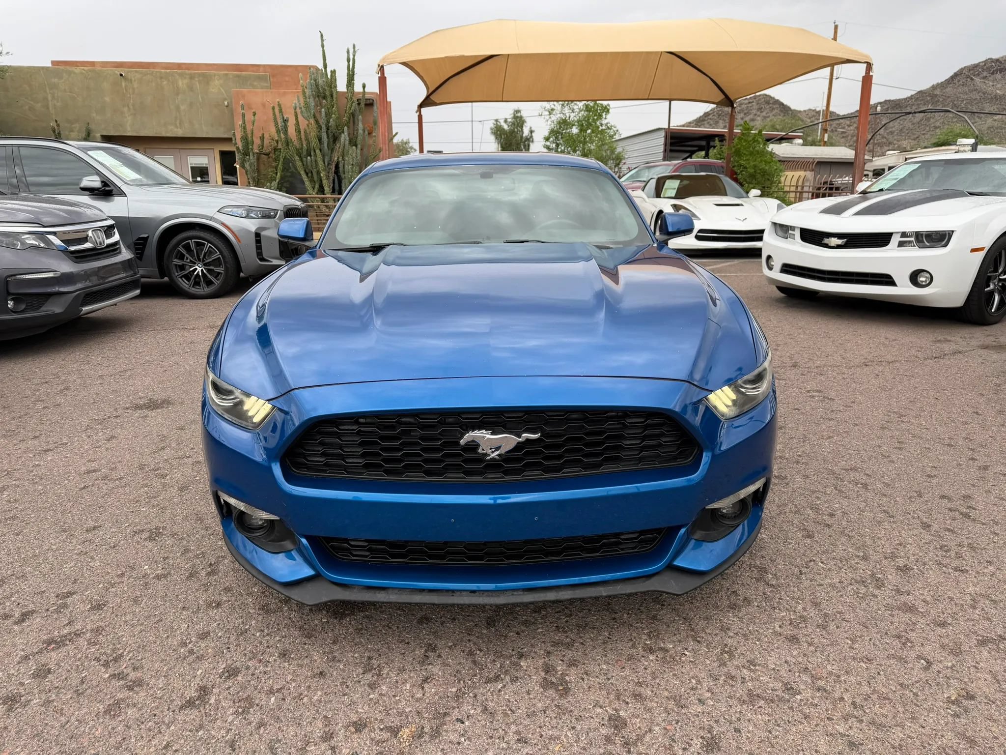Used 2017 Ford Mustang Coupe RWD image 2