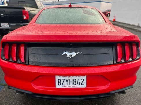 Used 2021 Ford Mustang EcoBoost image 5