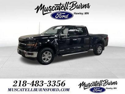 Used 2024 Ford F150 XLT w/ Equipment Group 302A MID