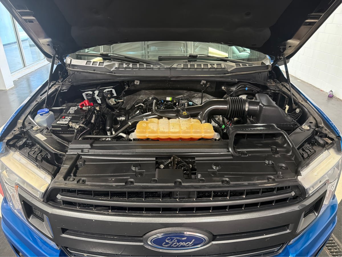 Used 2019 Ford F150 XLT w/ Equipment Group 302A Luxury AWD/4WD image 11