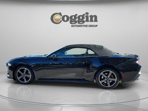 Certified 2024 Ford Mustang Premium image 1