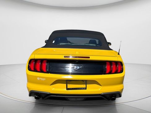 Used 2018 Ford Mustang Premium w/ Equipment Group 201A RWD image 9