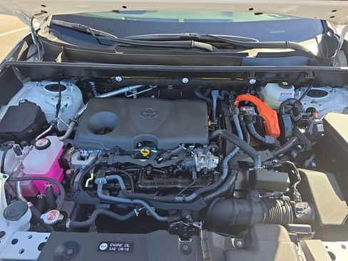 Certified 2025 Toyota RAV4 LE image 29