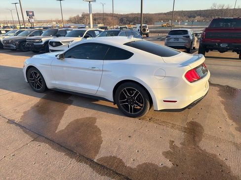 Used 2023 Ford Mustang Premium image 6