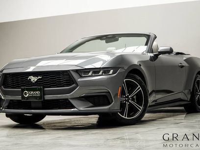Used 2024 Ford Mustang Premium