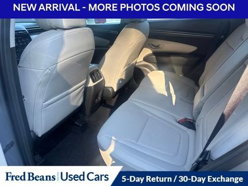 Used 2024 Hyundai Tucson SEL w/ Convenience Package AWD/4WD image 12