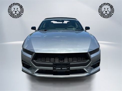 New 2025 Ford Mustang EcoBoost w/ Mustang Nite Pony Package image 2