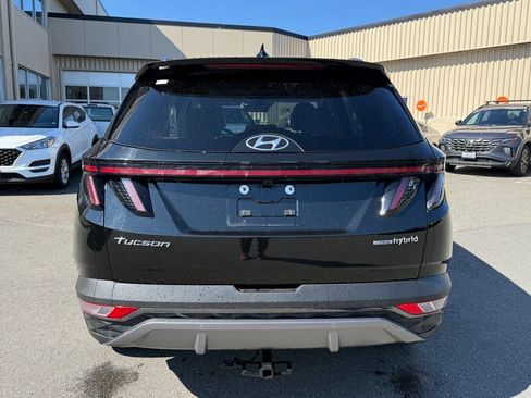 Used 2024 Hyundai Tucson Limited AWD/4WD image 3