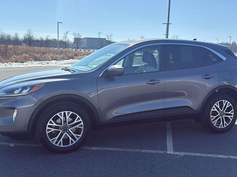 Used 2022 Ford Escape SEL image 13