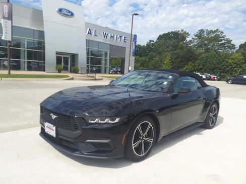 Used 2024 Ford Mustang Premium RWD image 1