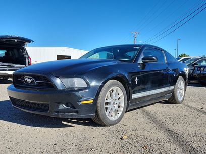Used 2014 Ford Mustang Premium w/ Equipment Group 202A