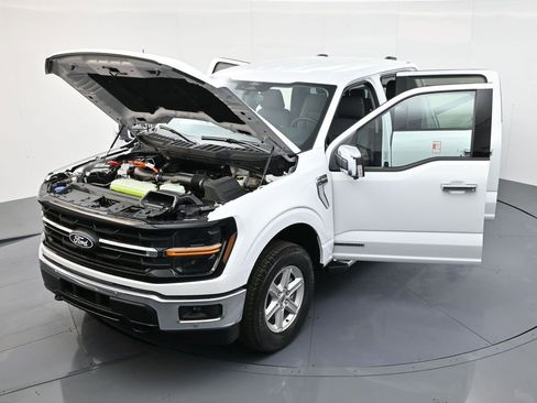 New 2025 Ford F150 XLT w/ Equipment Group 302A MID image 51