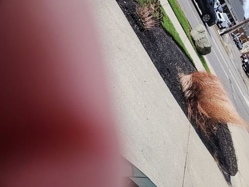 Certified 2023 Dodge Charger Scat Pack image 34