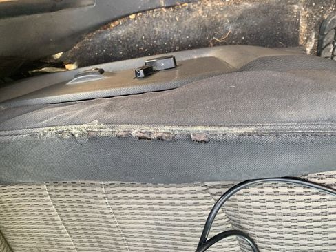 Used 2010 Dodge Ram 1500 Truck SLT w/ Big Horn Regional Pkg image 13