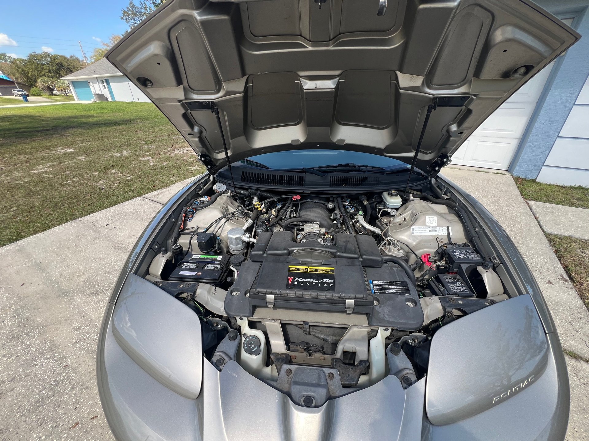 Used 2000 Pontiac Firebird Trans Am RWD image 36
