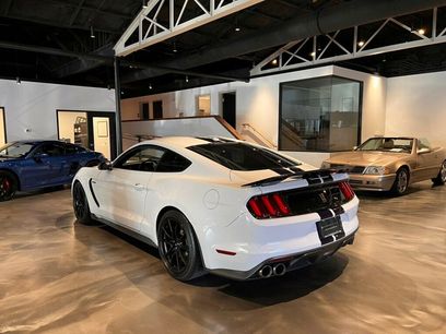 Used 2019 Ford Mustang Shelby GT350 w/ Technology Package
