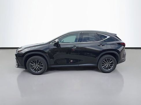 Certified 2024 Lexus NX 350 AWD image 4