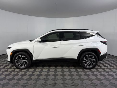 Used 2025 Hyundai Tucson Limited AWD/4WD image 10
