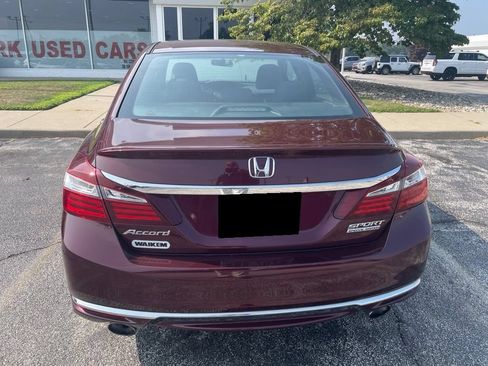 Used 2017 Honda Accord Sport Special Edition image 5