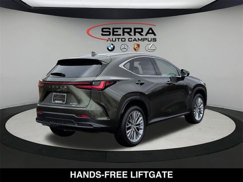 Used 2025 Lexus NX 350 AWD w/ Cold Area Package image 13