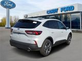 New 2025 Ford Escape ST-Line w/ Tech Pack #1 image 3