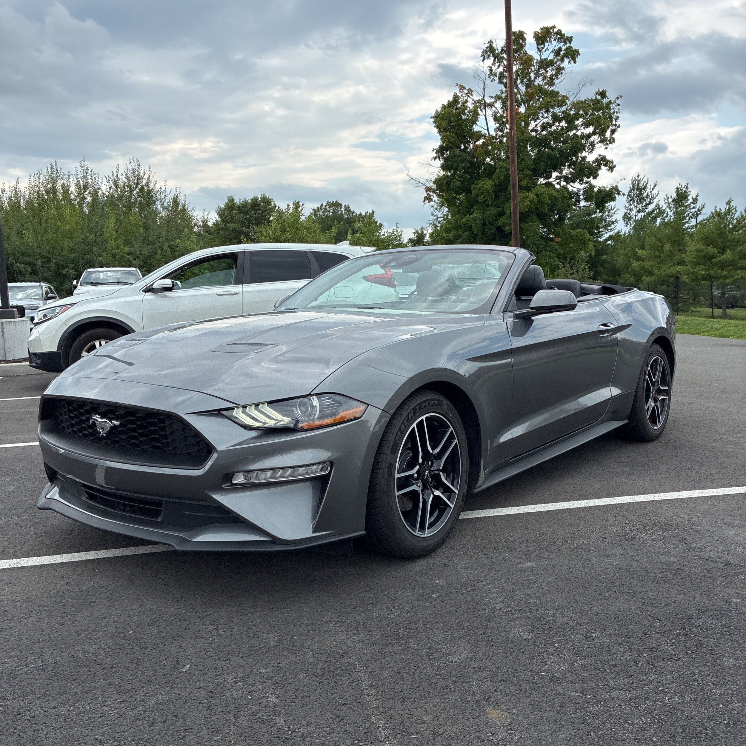 Used 2021 Ford Mustang Premium RWD image 1