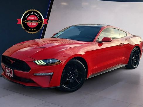 Used 2019 Ford Mustang Coupe w/ Equipment Group 101A RWD image 1