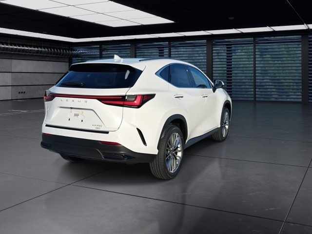 New 2026 Lexus NX 350 AWD w/ Accessory Package (K3) image 8
