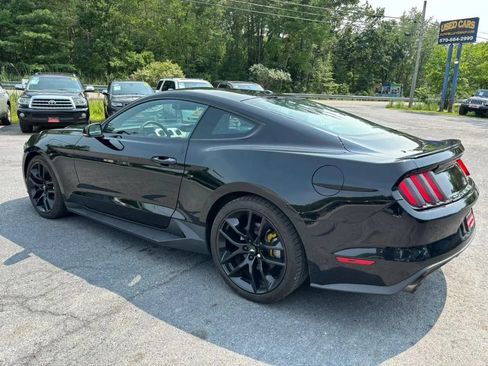 Used 2016 Ford Mustang Premium w/ Equipment Group 201A RWD image 6