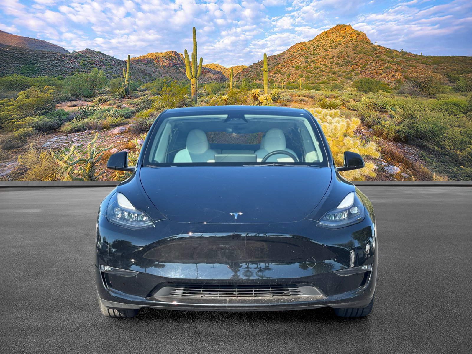 Used 2023 Tesla Model Y Performance AWD/4WD image 9
