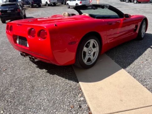 Used 1999 Chevrolet Corvette Convertible image 5