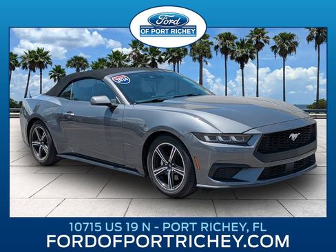 Used 2024 Ford Mustang Premium RWD image 1