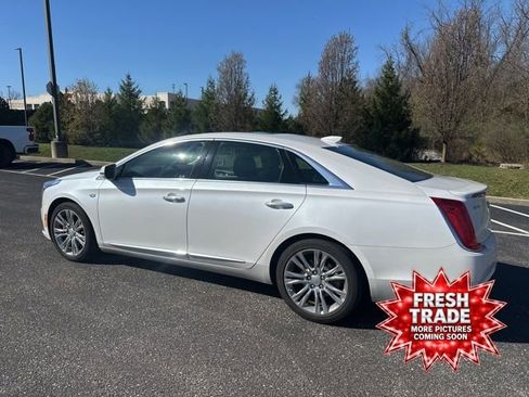 Used 2019 Cadillac XTS Luxury w/ Driver Awareness Package image 5