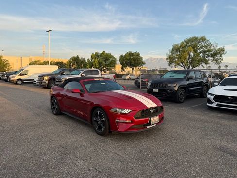 Used 2021 Ford Mustang Convertible w/ Equipment Group 101A image 2