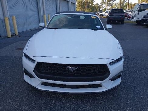 Used 2025 Ford Mustang Premium RWD image 1