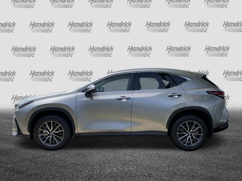 Certified 2024 Lexus NX 250 FWD w/ Cold Area Package image 7