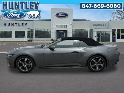 Used 2024 Ford Mustang Premium RWD image 6